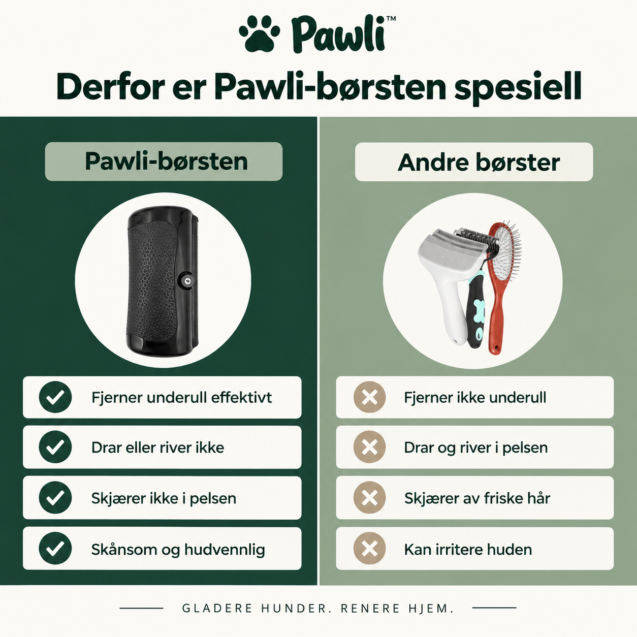 Derfor er Pawli-børsten spesiell – sammenlignet med andre børster