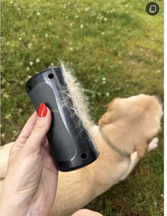 Pelsfri med løs pels etter børsting av en korthåret hund